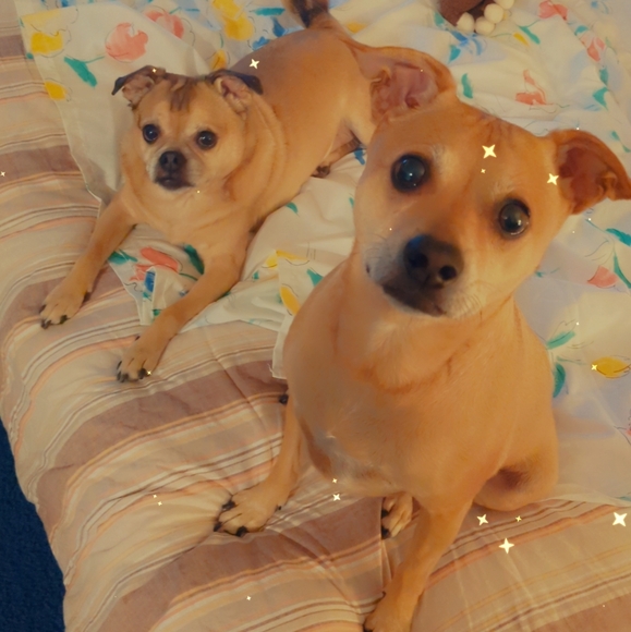 Meet your Posher, Rm Southern - Picture 1 of 2